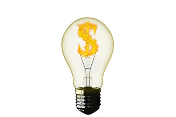 Close-up of Dollar sign burning in light bulb 