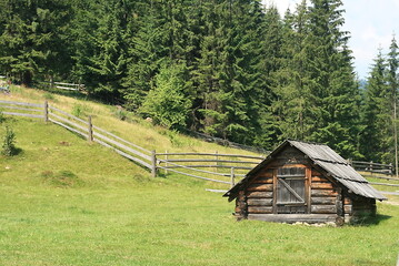 wooden house in the forest