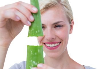 Attractive woman snapping aloe vera leaf 