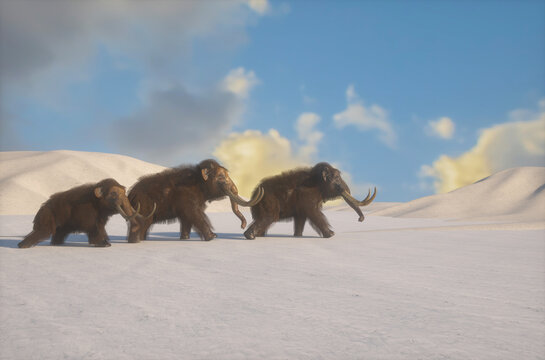 mammoth on the background of winter and snow render 3d illustration