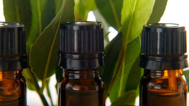 Laurel leaf oil.Essential bay oil bottles with green bay leaf. Condiments and spices.Aromatherapy and massage. 4k footage