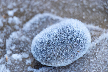 Frosty ice crystals on a rock