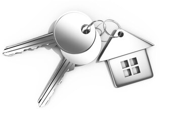 Metallic key with home ring