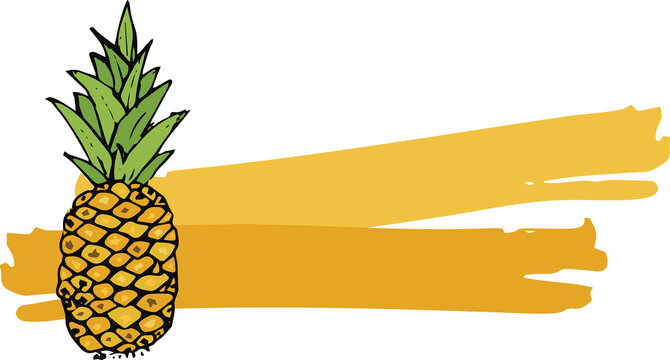 Illustration of pineapple fruit