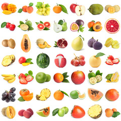 Collage of different fresh fruits on white background