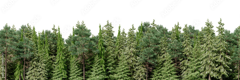 Fototapete 3D rendering of the background panorama of a coniferous forest. Detailed outdoor background of hilly forest. Wide seamless panorama of a forest of coniferous trees.