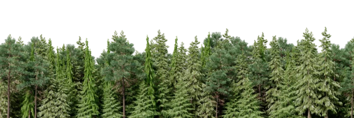 Papier Peint photo Lavable Couleur pistache 3D rendering of the background panorama of a coniferous forest. Detailed outdoor background of hilly forest. Wide seamless panorama of a forest of coniferous trees.