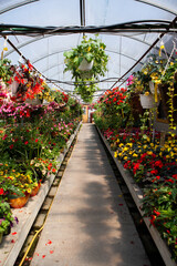 Industrial garden greenhouse