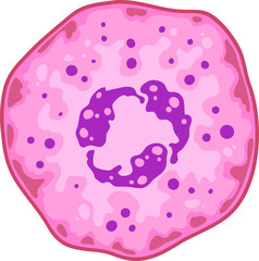 Protista cartoon bacteria, pink comic protozoa