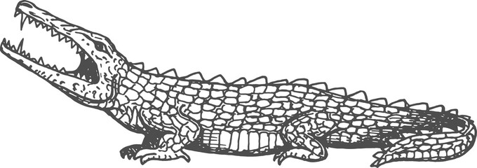 Crocodile ancient aztec animal, alligator sketch
