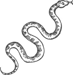 Reptile snake or serpent mythology animal sketch