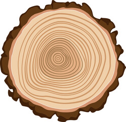 Wood texture isolated tree trunk wooden stump sign