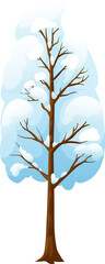 Obraz premium Winter forest plant elm branches and trunk in snow