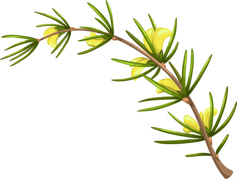 air plant holder Wood Slice Air Plant Holder  REmix Design