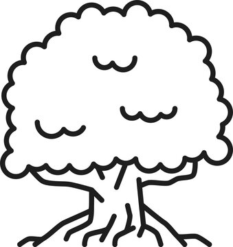 Ombu massive outline tree native to Pampa