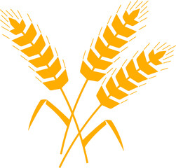Spikes of wheat icon. Rye, barley cereal ears