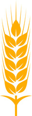 Wheat spikes icon. Rye, barley cereal ear symbol