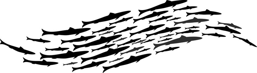 Group of fish shoaling schooling in sea silhouette