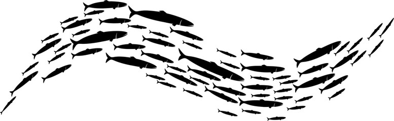 Group of fish shoaling schooling in sea silhouette