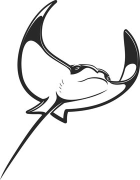 Cownose ray or stingray ocean and sea animal