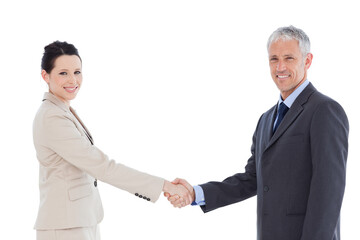 Smiling business people shaking hands while looking at the camera