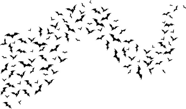 Flying halloween bats, wave on white background