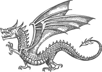 Dragon with wings sketch tattoo traditional symbol