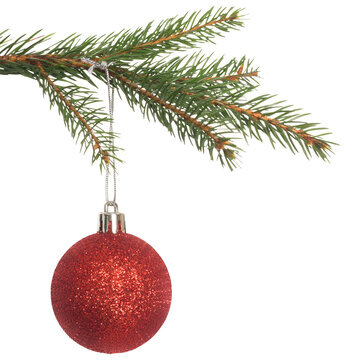 Red christmas decoration hanging from branch