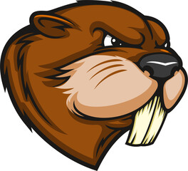 Cartoon beaver mascot or animal character head - obrazy, fototapety, plakaty