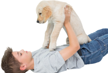 Boy playing with puppy