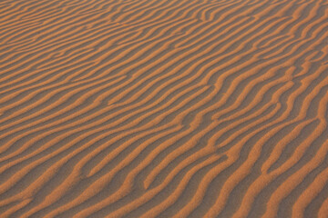 Obraz premium Sand texture