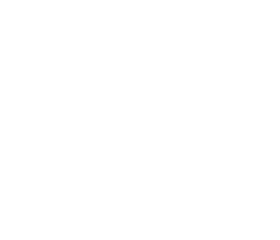 Digital composite image of bird