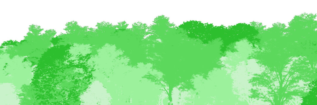 Wirecolor mask for image editing software. Transparent silhouette background of deciduous forest panorama. Detailed illustration of outdoor hilly forest background.