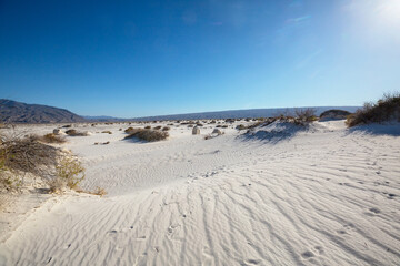 White sand dunes in Mexico