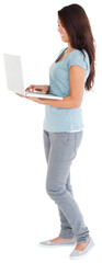 Fototapeta premium Gorgeous woman relaxing with her laptop