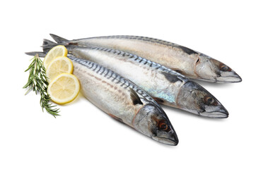 Raw mackerels, lemons and rosemary isolated on white