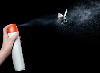 Woman spraying insect aerosol on fly against black background, closeup