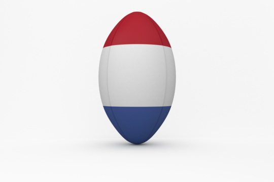 French flag rugby ball