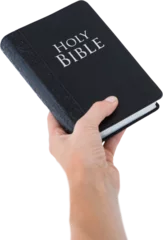 Gardinen Hand holding bible © vectorfusionart