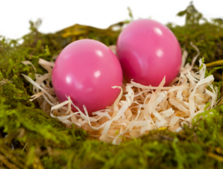 Pink Easter eggs on paper nest