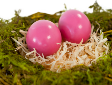 Pink Easter eggs on paper nest