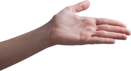 Fotobehang Cropped hand of woman gesturing © vectorfusionart