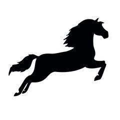 Vector hand drawn dressage horse jumping silhouette isolated on white background