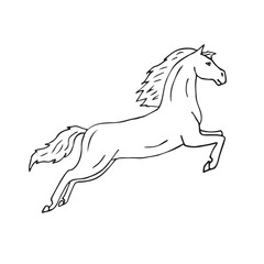 Fototapeta na wymiar Vector hand drawn sketch dressage horse jumping isolated on white background