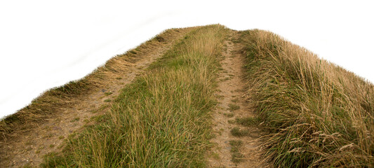 Grass growing on road 