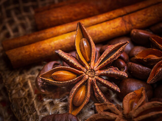  anise star and cinnamon sticks close up