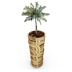 Coconut tree over stack of gold coins