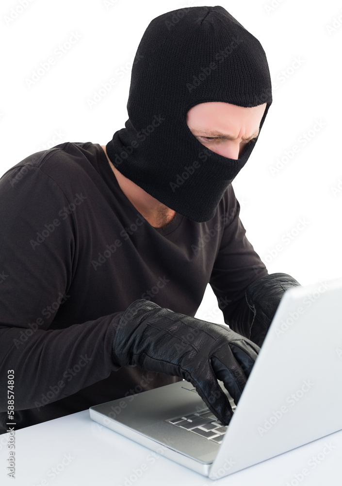 Poster hacker using laptop to steal identity