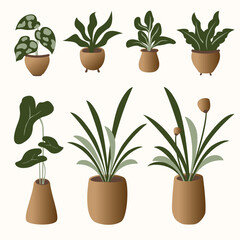 Naklejka na ściany i meble set of plants in pots