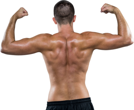 Rear view of shirtless athlete flexing muscles